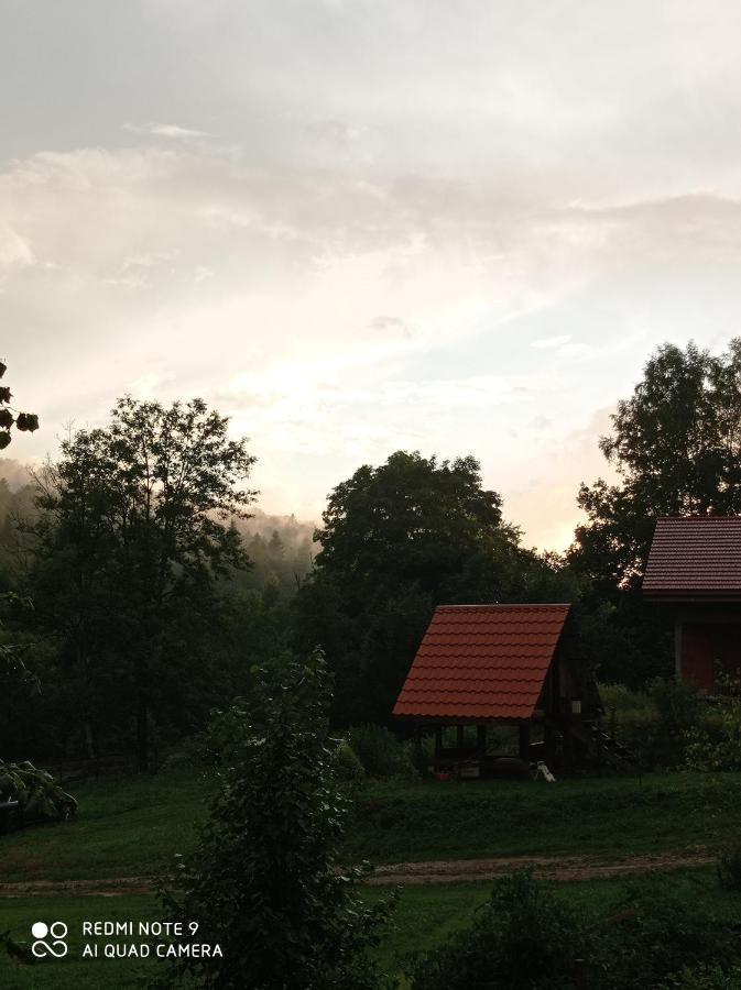 Z Piernika 729-656-514 Ropienka