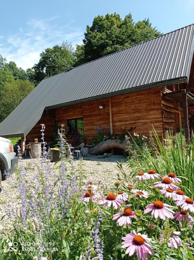 Chalet Z Piernika 729-656-514 Ropienka