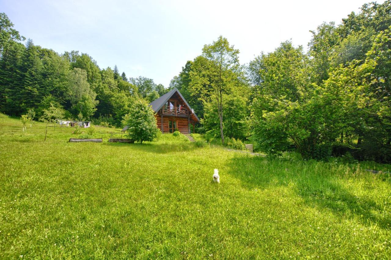 Z Piernika 729-656-514 * Ropienka
