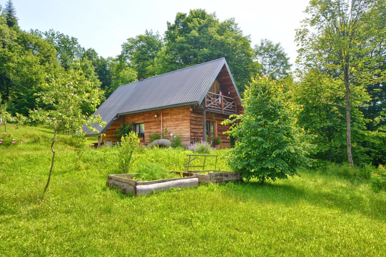 Z Piernika 729-656-514 Chalet *
